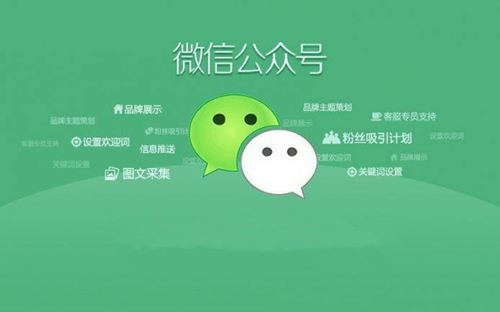 微信公众号的注册规范有哪些要求